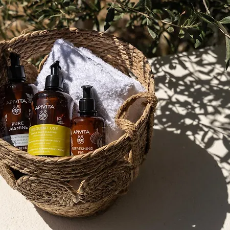 Villa Glaronisi Kea *